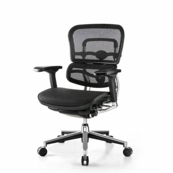 Ergo Comfort Medium Back Chair | Executive Chair