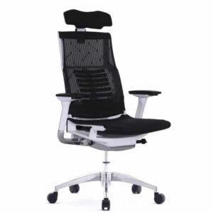 Antique Ergonomic Chair | Office Chair