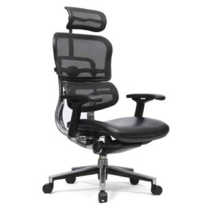 Ergo Comfort Leather Seat Chair