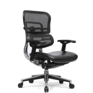 Ergo Comfort Leather Seat MB Chair | Office Mesh Chair