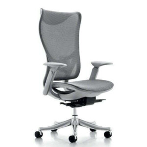 Fuchsia Ergonomic Chair