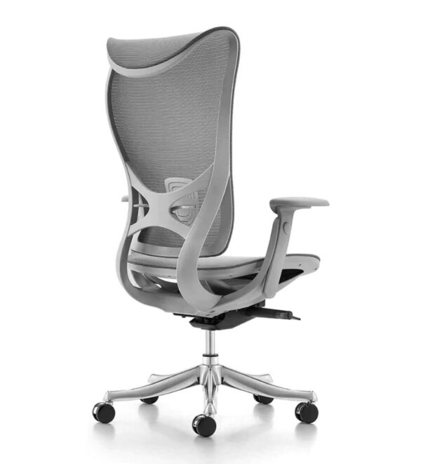 Fuchsia Ergonomic Chair