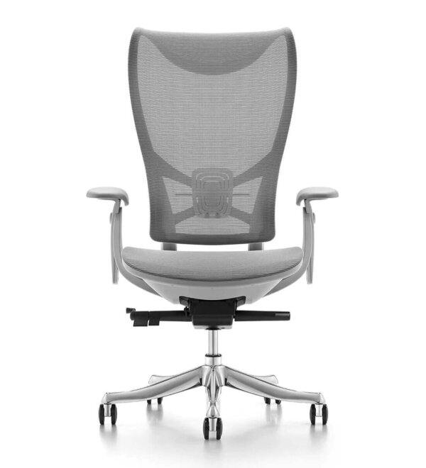 Fuchsia Ergonomic Chair