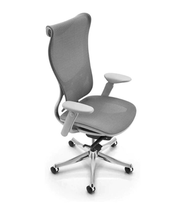 Fuchsia Ergonomic Chair