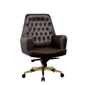 Kasata Medium Back Chair | Executive Chair