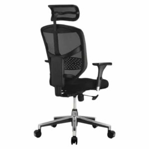 Popular Ergonomic Chair