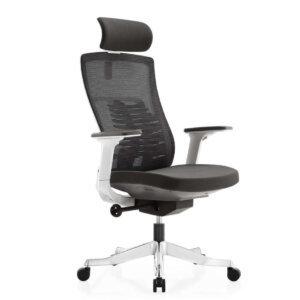 Spark Ergonomic Chair Black & White