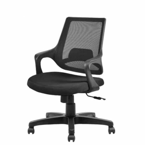 Auto Low Back Chair - Image 2