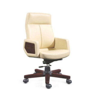 Havoc Medium Back Chair | Executive Chair